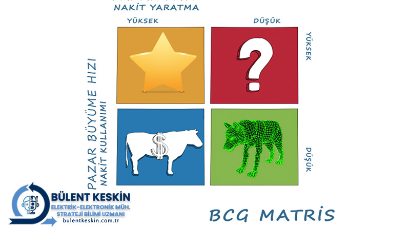 BCG Matrisi nedir